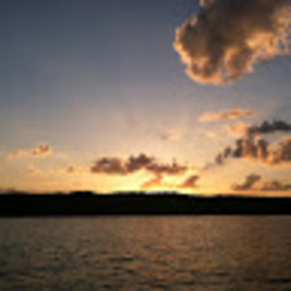 Meet your Posher, Alison - Picture 1 of 1